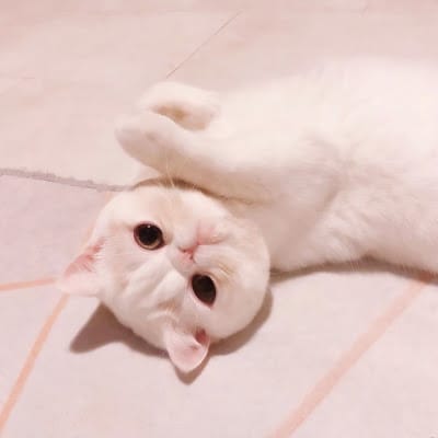 Siti Nurhaliza avatar