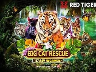 Big Cat Rescue Megaways™ screenshot